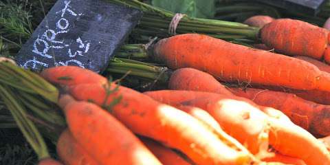 The Kitchen Garden - Organic Vegetable Farm & CSA. Kingston, ON